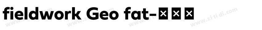 fieldwork Geo fat字体转换